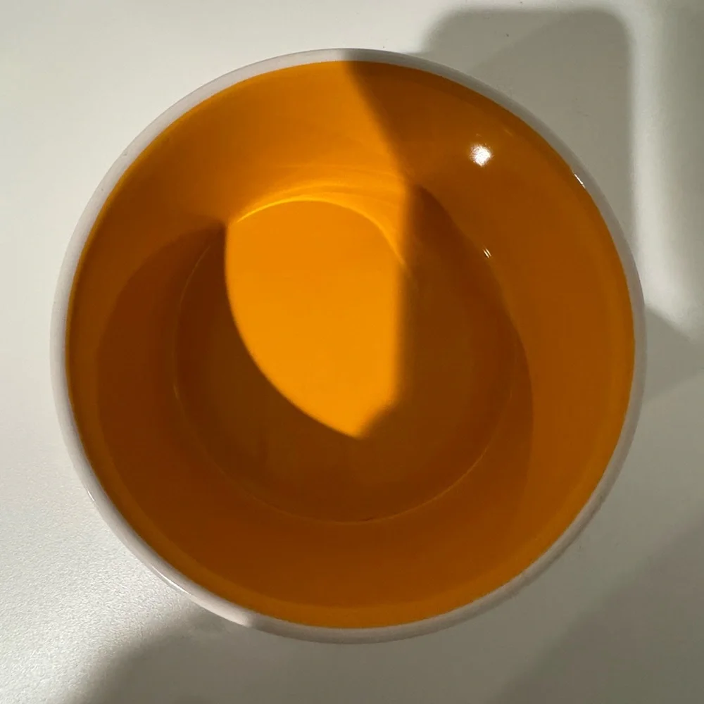 ⭐️HP⭐️ Rae Dunn pet bowl